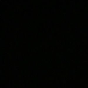 Meet your Posher, Sasha